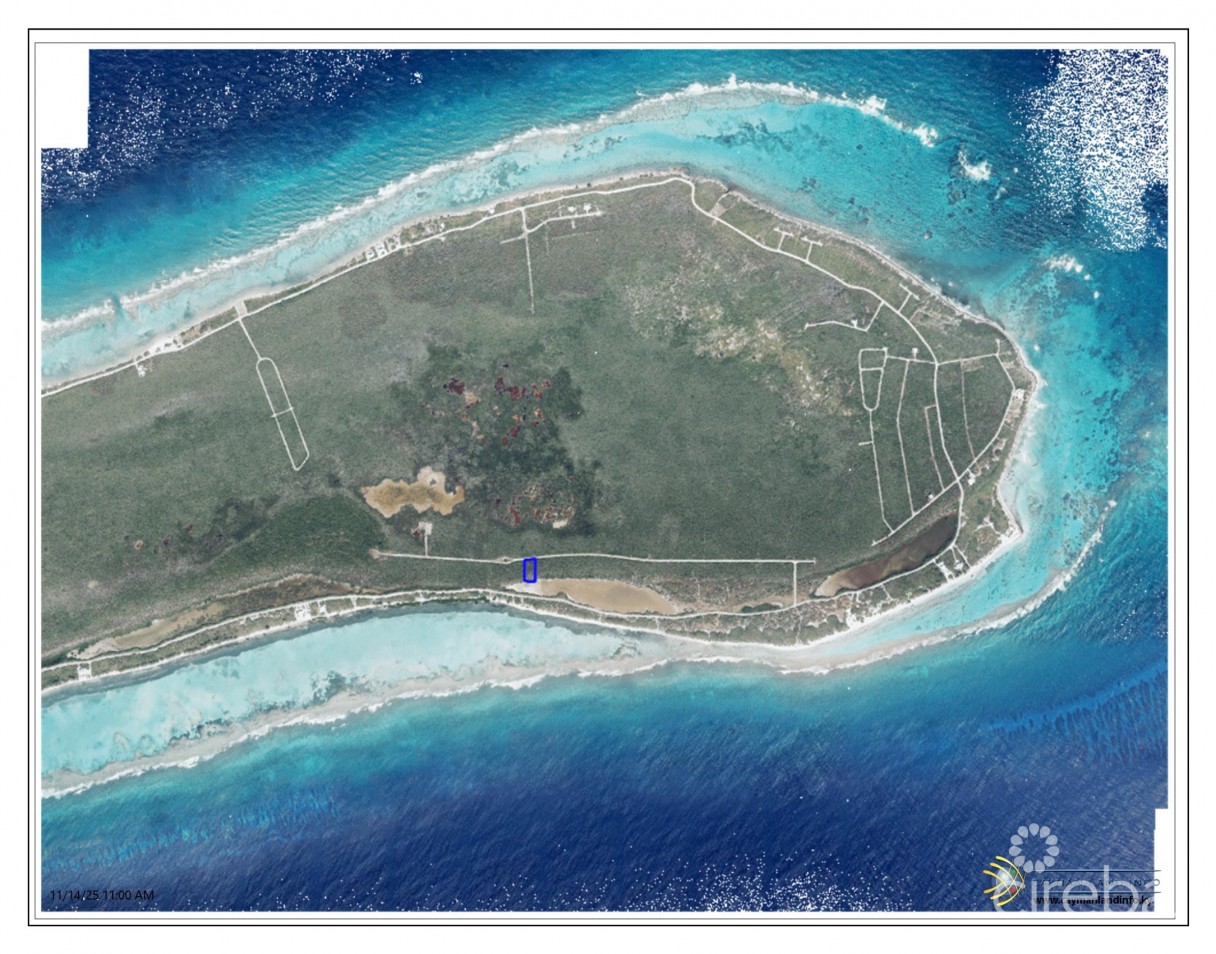 Little Breeze - Image 1