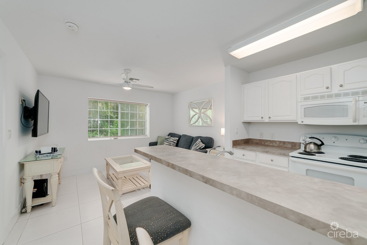Lakeside #d127: Prime Entry-level Investment Near Camana Bay - Image 3