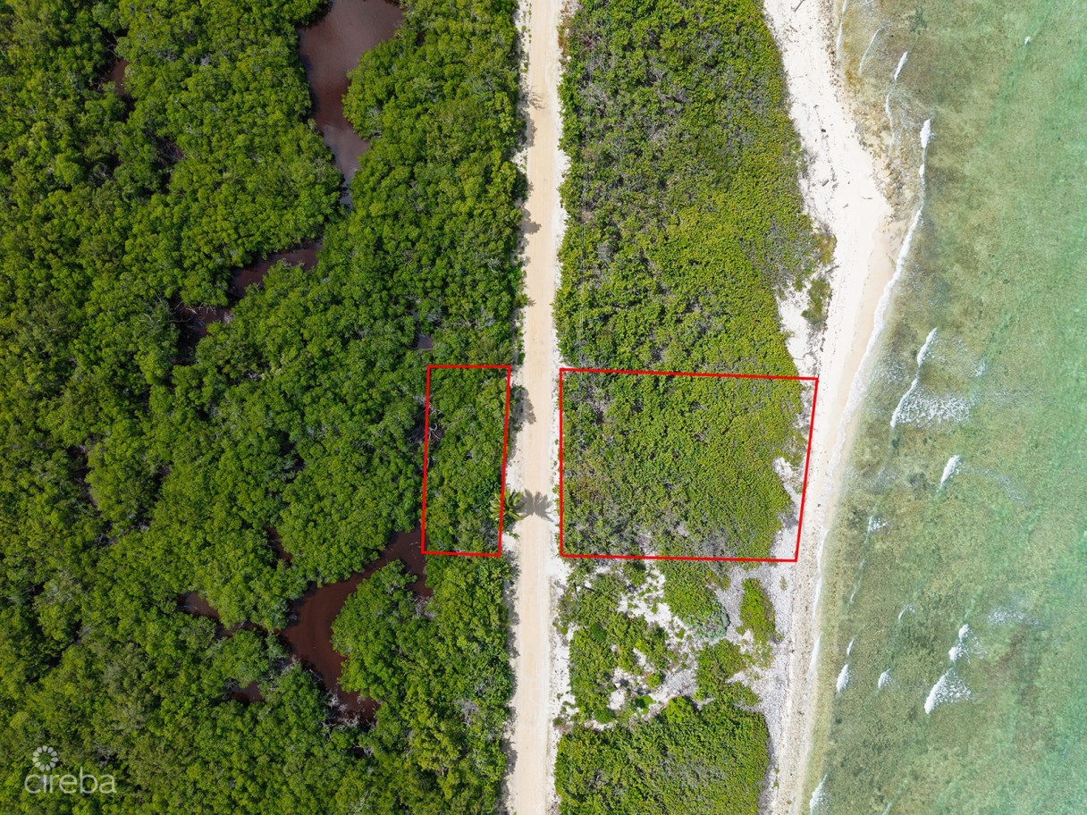 0.43 Acre Little Cayman Beachfront Land - Image 5