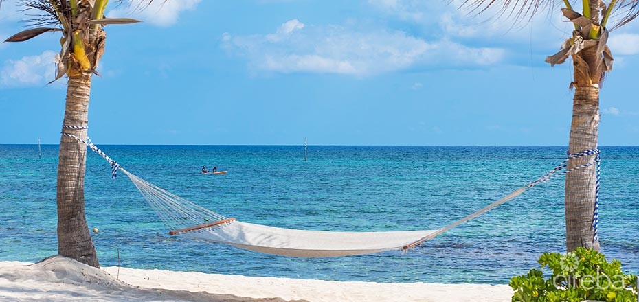 Castaway Cove Ground Floor Income Producer - Image 2