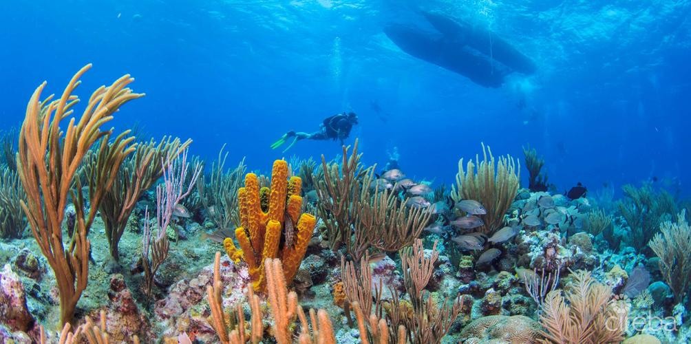 Castaway Cove Ground Floor Income Producer - Image 21