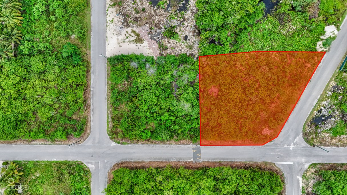 Large Corner Lot .366 Acre In Lookout Gardens - Image 2