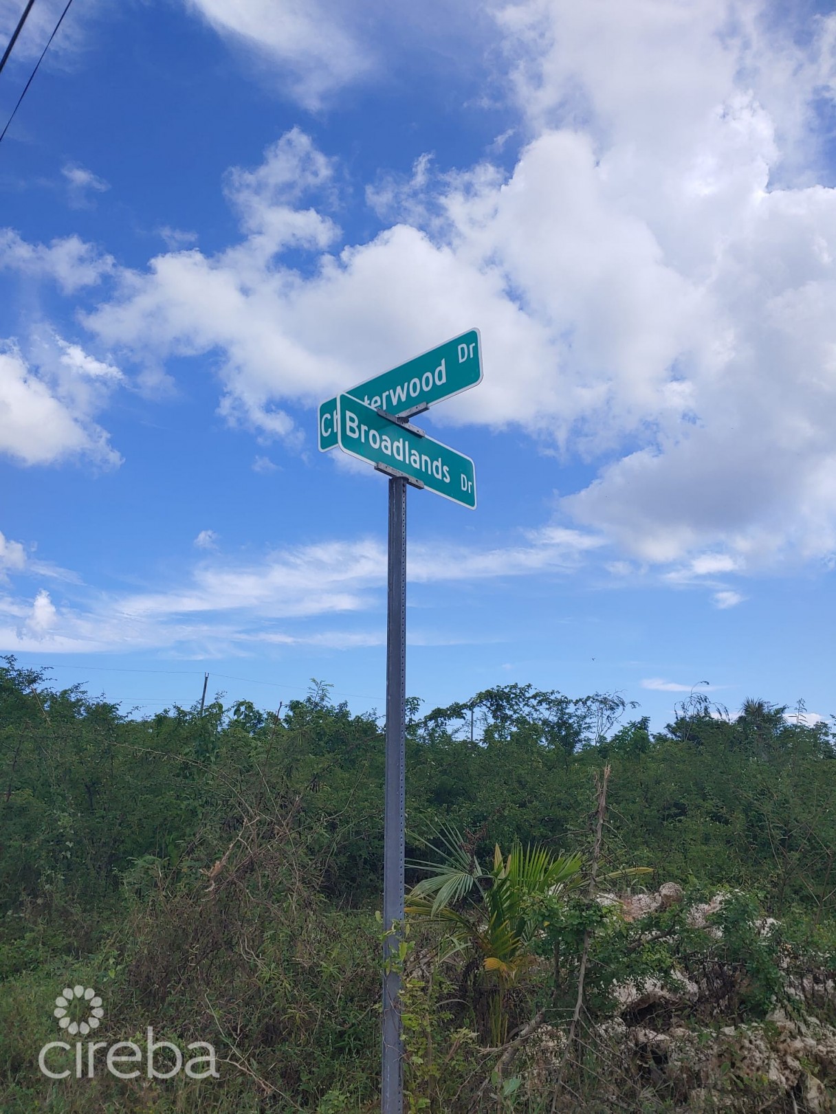 Large Corner Lot .366 Acre In Lookout Gardens - Image 3