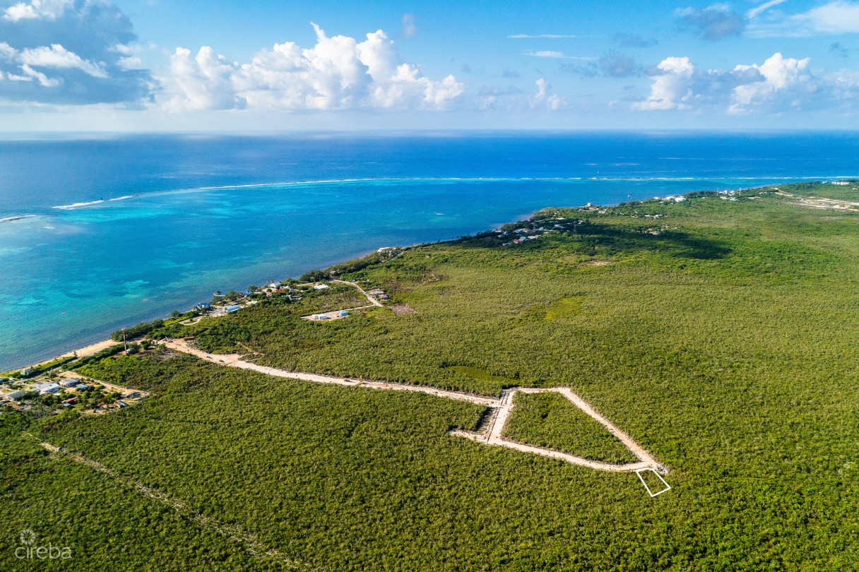 Breezy Palms Lot 19 - Image 3