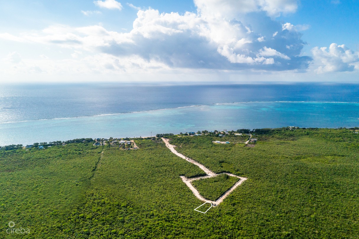 Breezy Palms Lot 19 - Image 4