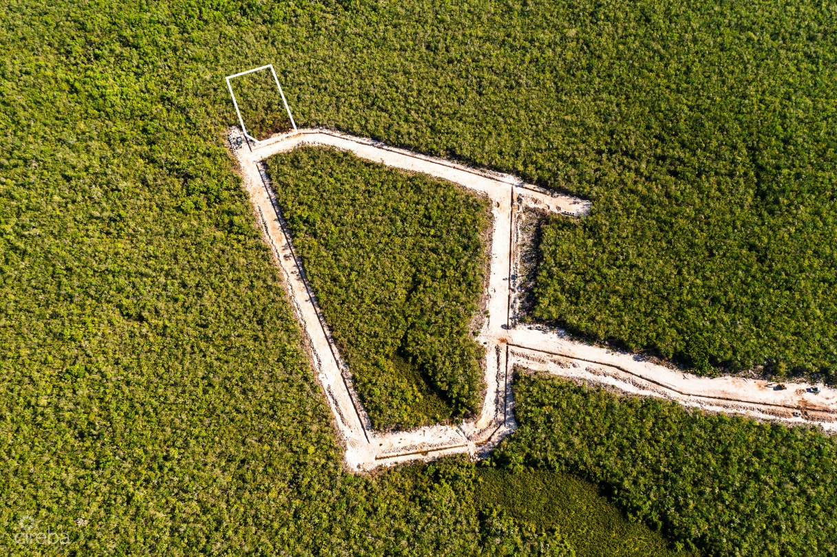 Breezy Palms Lot 19 - Image 5