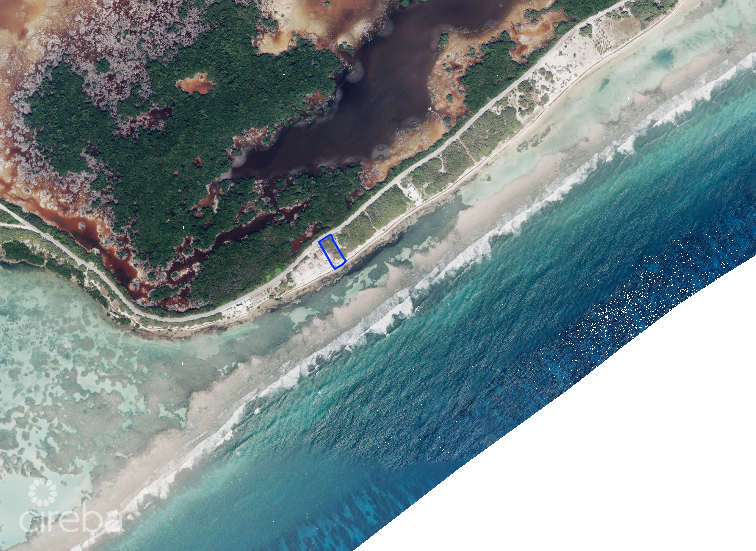 Beachfront Land Little Cayman - Image 3