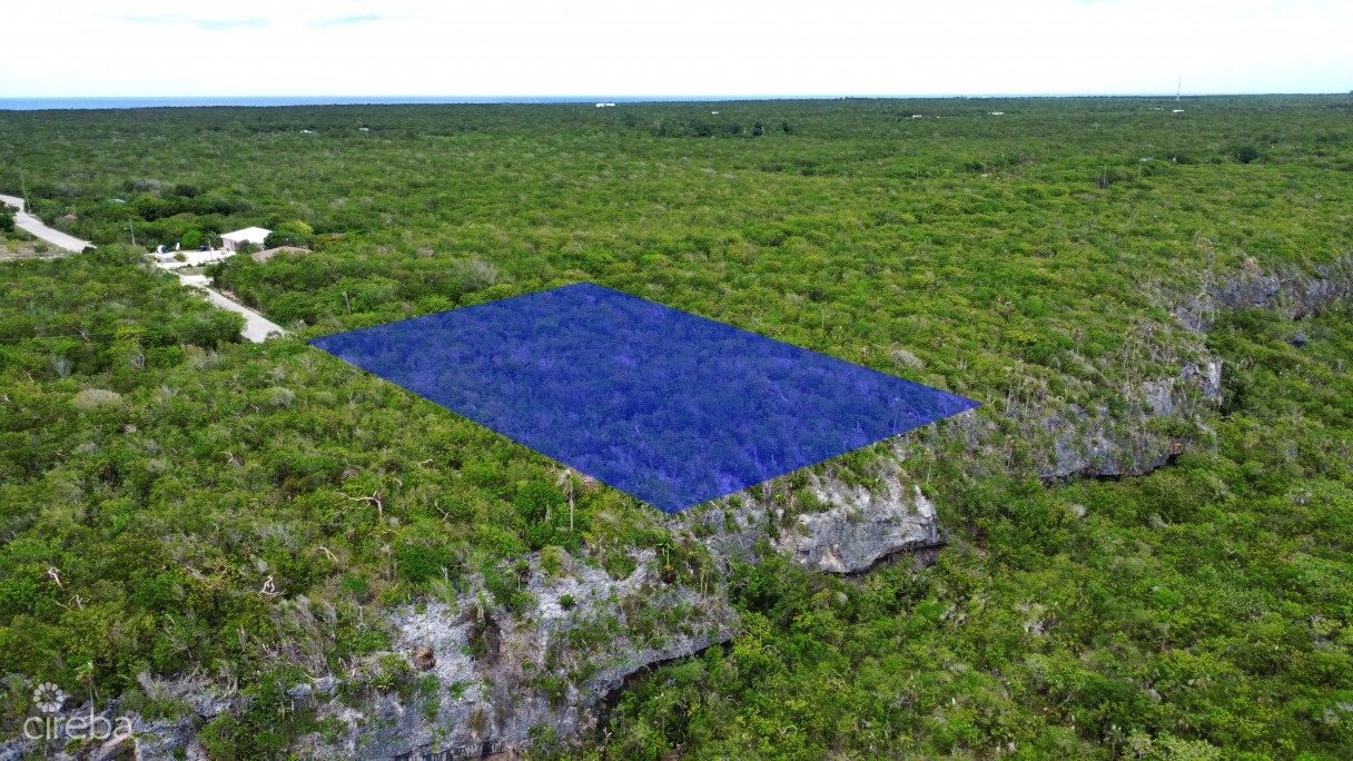 Cayman Brac Bluff Edge Two - Image 2