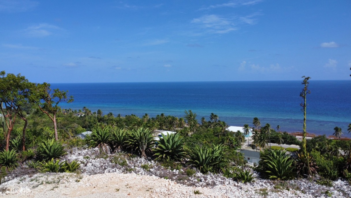 Bluff Land - Cayman Brac East - Lot #8 - Image 1