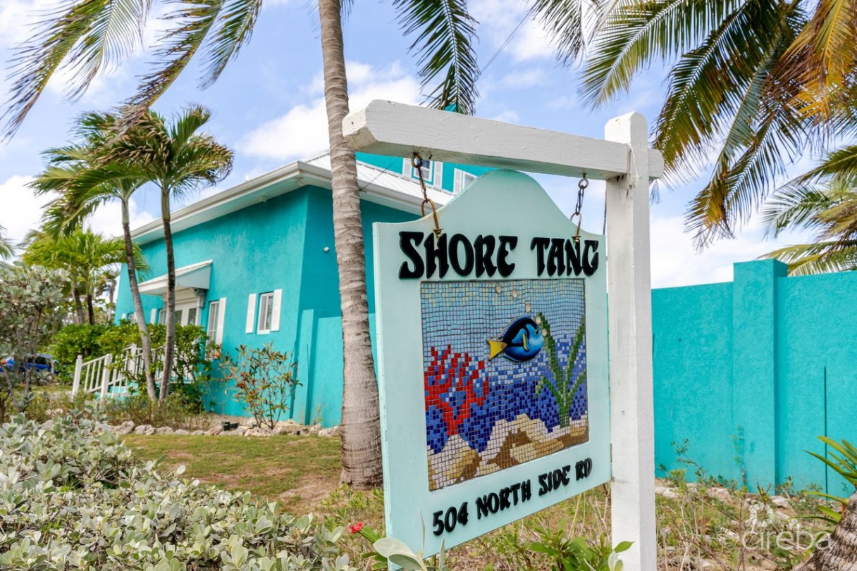 Shore Tang - Image 1