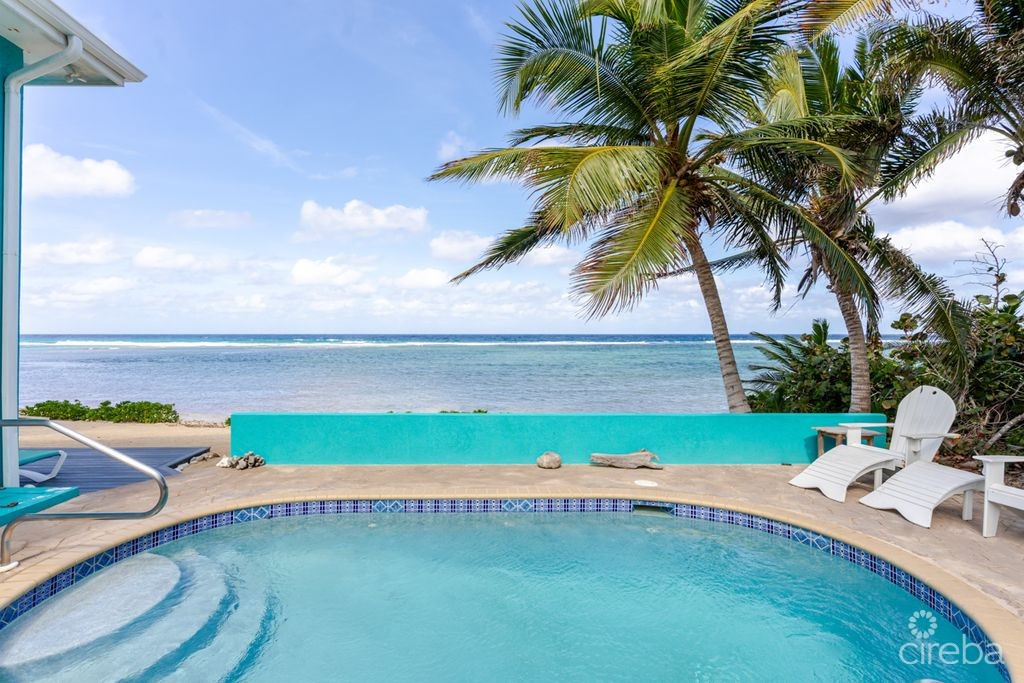 Shore Tang - Image 9