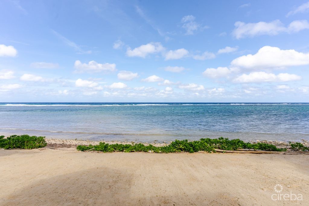 Shore Tang - Image 11