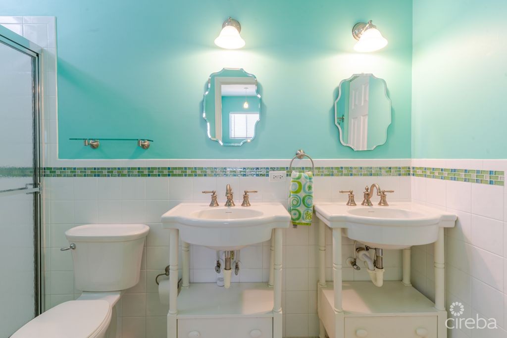 Shore Tang - Image 14