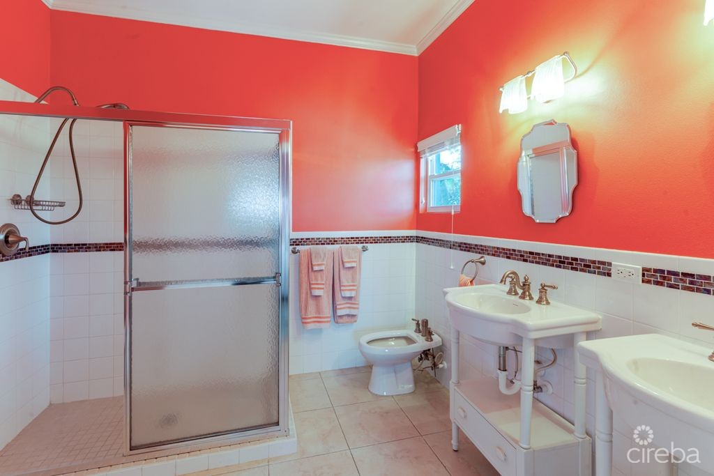 Shore Tang - Image 8