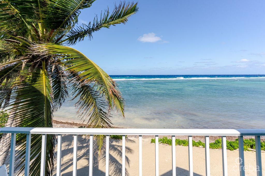 Shore Tang - Image 19