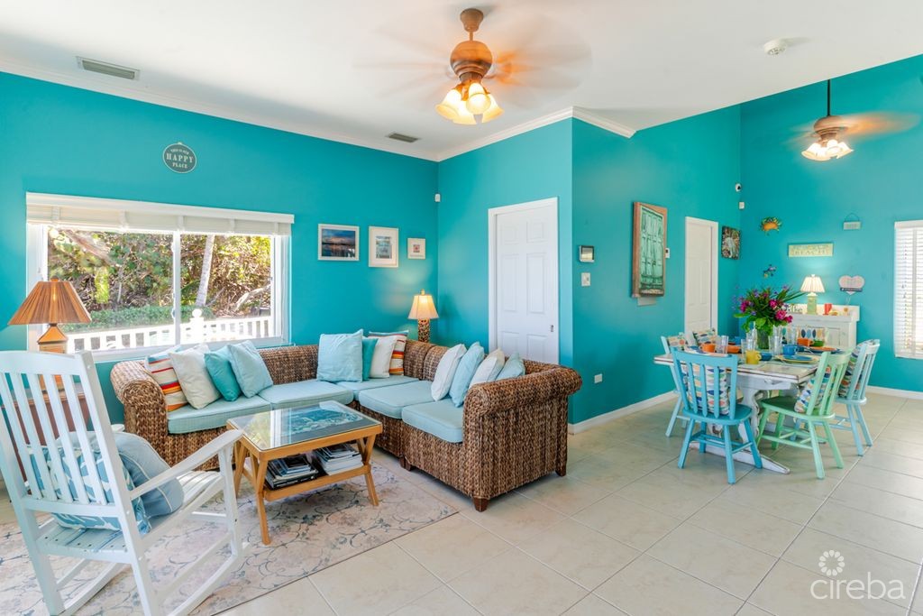 Shore Tang - Image 5