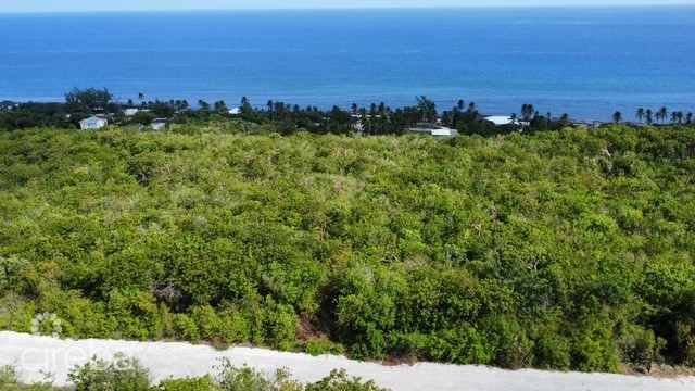 Bluff Land - Cayman Brac East - Lot #6 - Image 10
