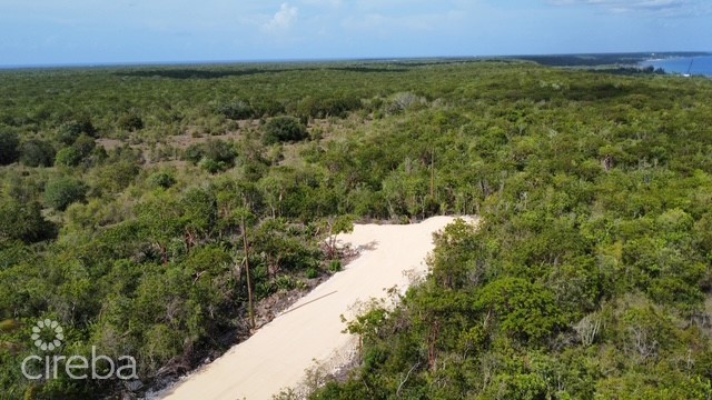 Bluff Land - Cayman Brac East - Lot #6 - Image 11