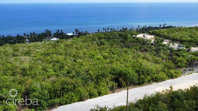 Bluff Land - Cayman Brac East - Lot #4 - Image 13