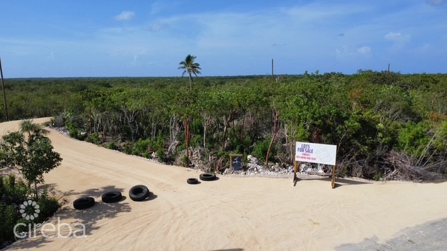 Bluff Land - Cayman Brac East - Lot #4 - Image 20