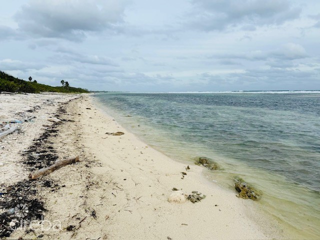 Beachfront Land Little Cayman - Image 4