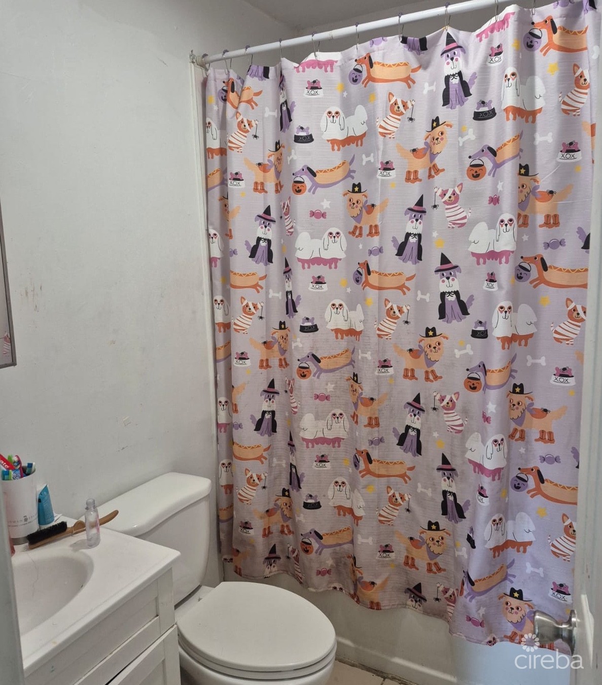 221 Anthony Dr - Image 12