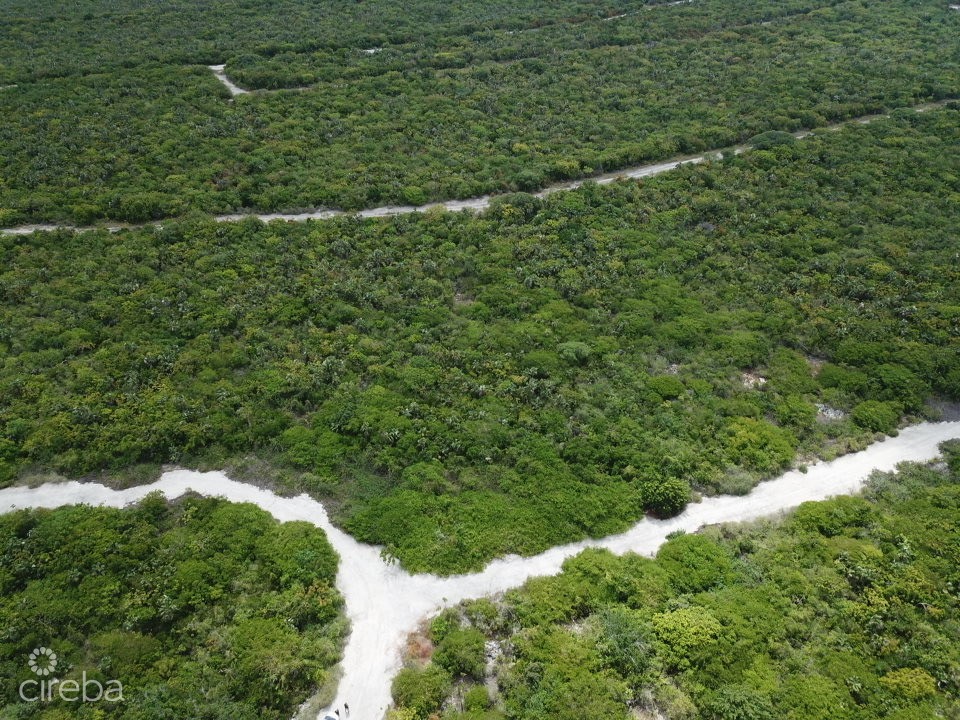 Little Cayman Lot Near Point Of Sands - Image 7