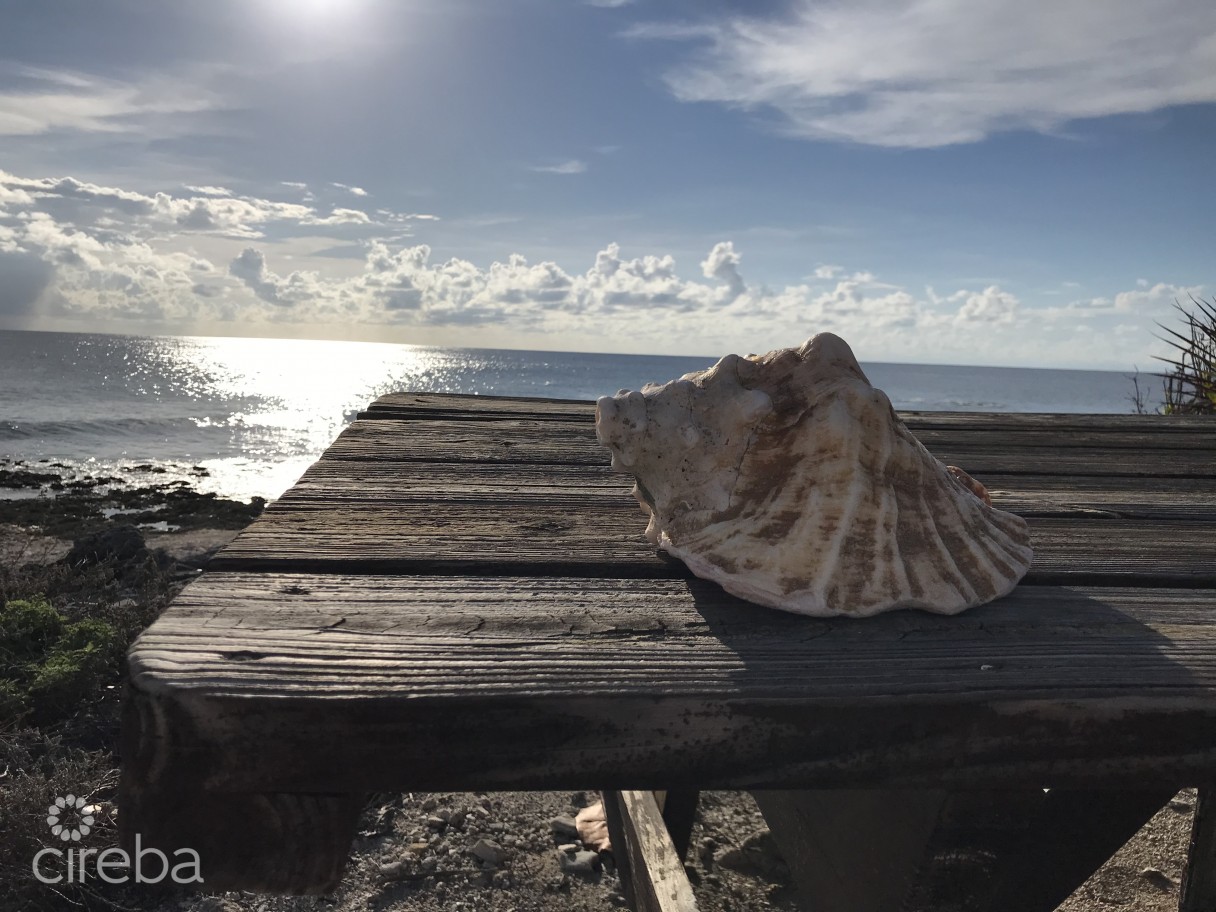 Little Cayman Lot Near Point Of Sands - Image 4
