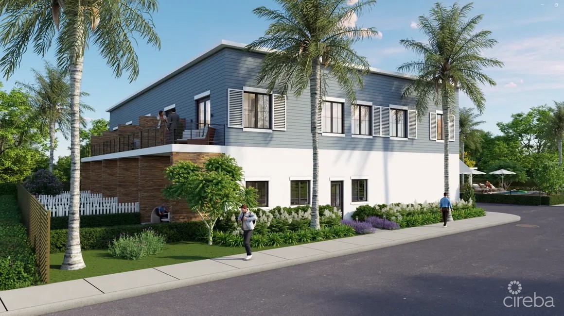 Cocobella #3 - Image 8