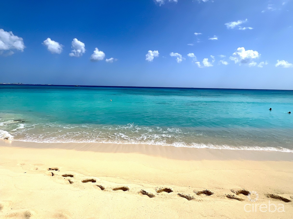 Coconut Walk -  Seven Mile Beach Estate - Image 21