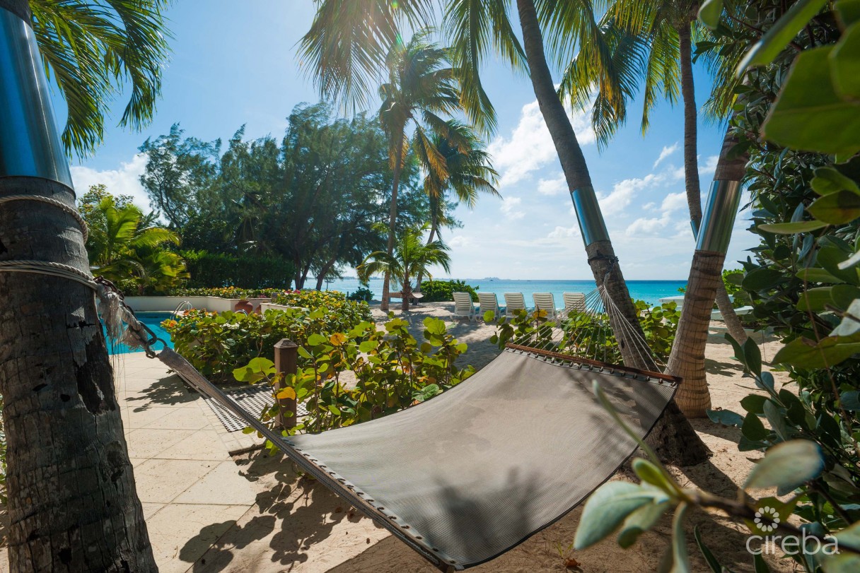 Coconut Walk -  Seven Mile Beach Estate - Image 20