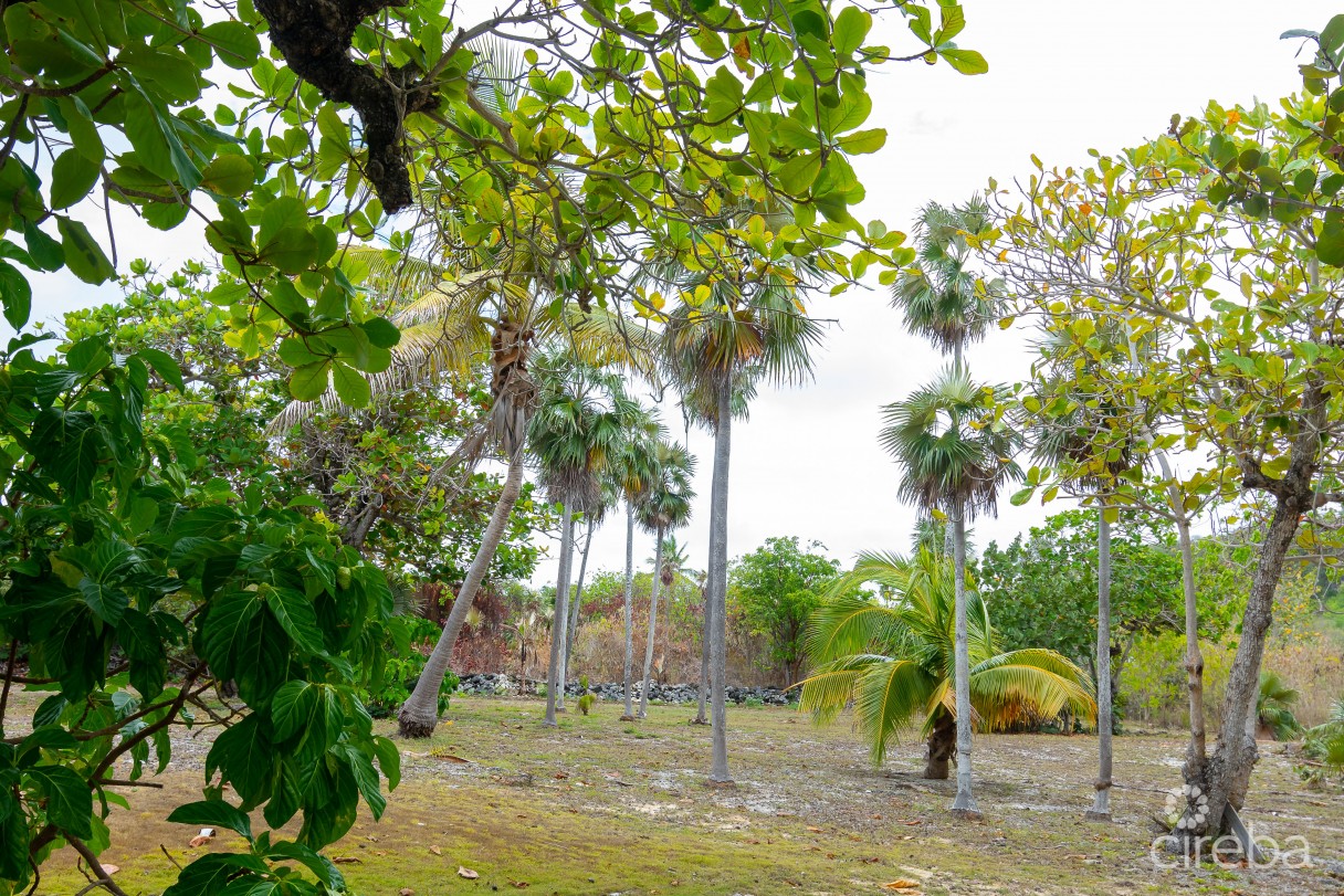 Taylor Foster Home - Image 5