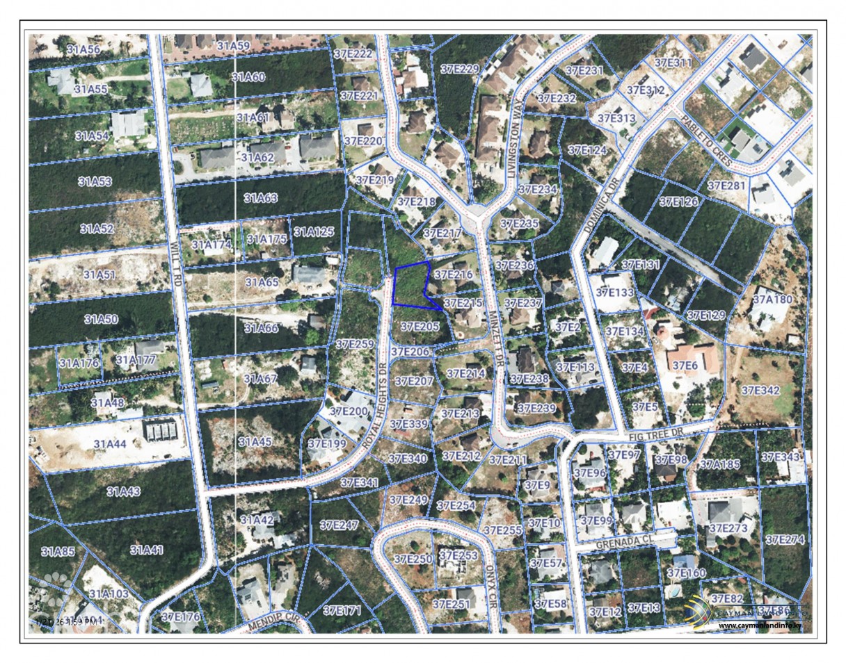 Royal Heights Lot - Image 2