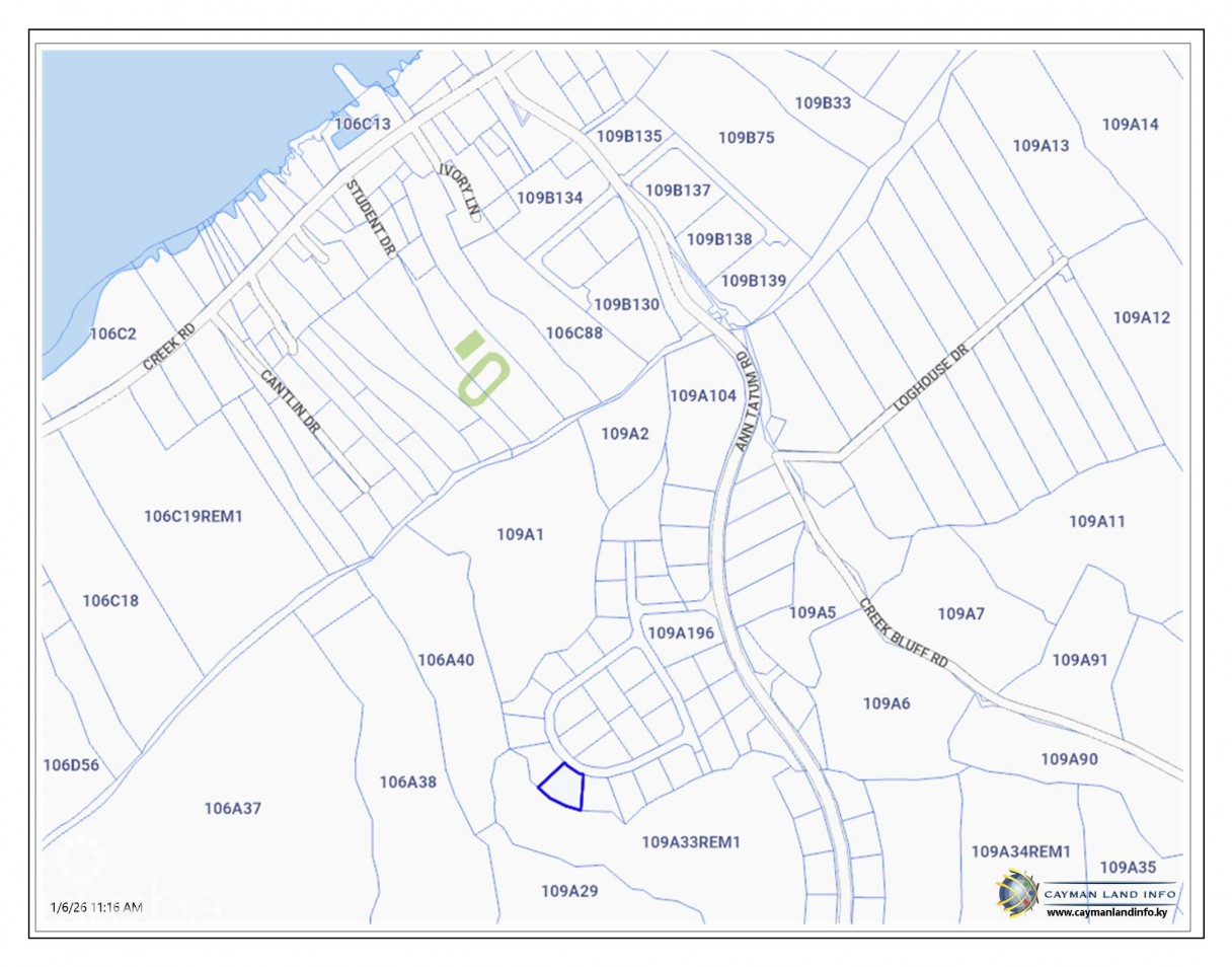Cayman Brac Bluff Lot  (.2901 Acre) - Image 2