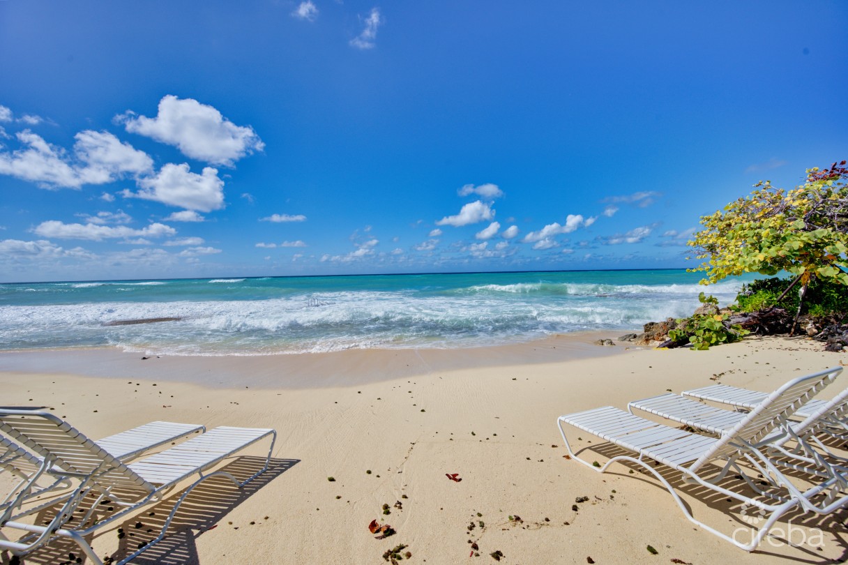 Grape Tree Condo Seven Mile Beach