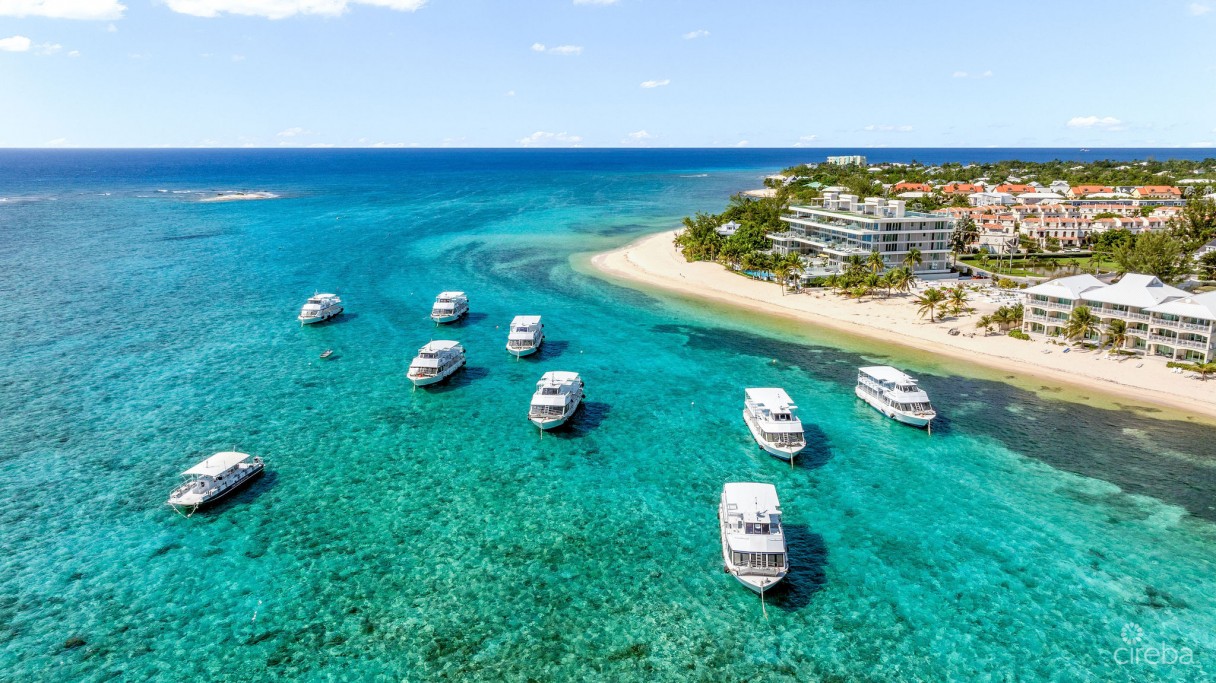 Tides Residence 308 - West Facing Corner - Image 3