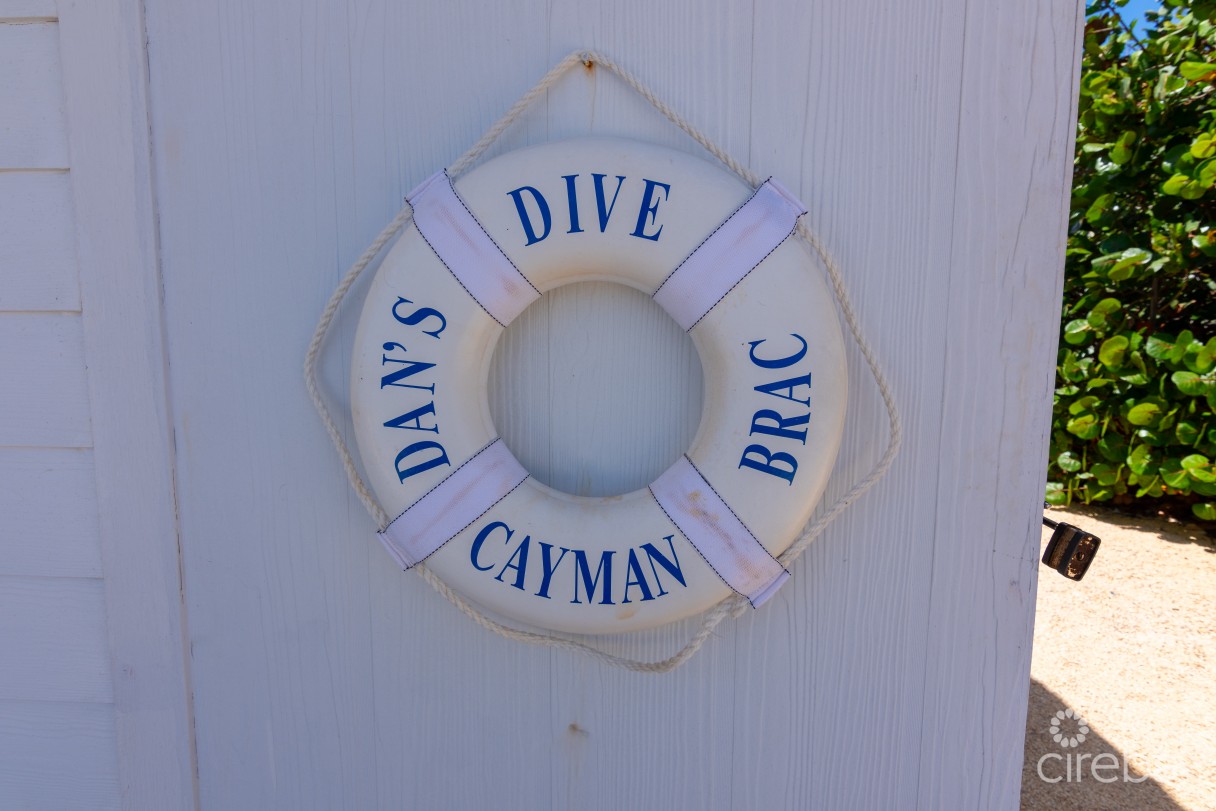 Dan's Dive - Image 17