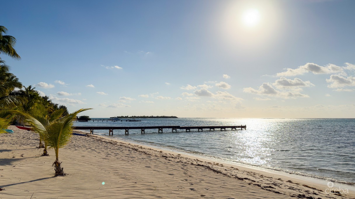 Conch Club Condo Little Cayman - Image 14