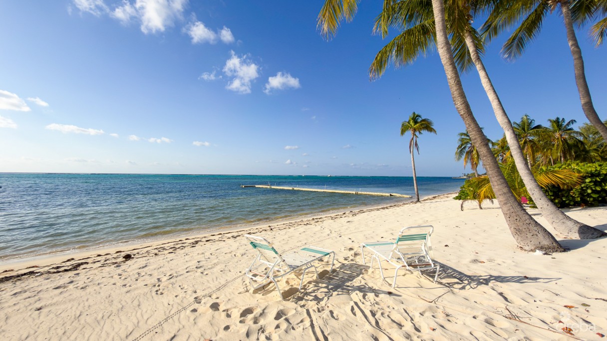 Conch Club Condo Little Cayman - Image 3
