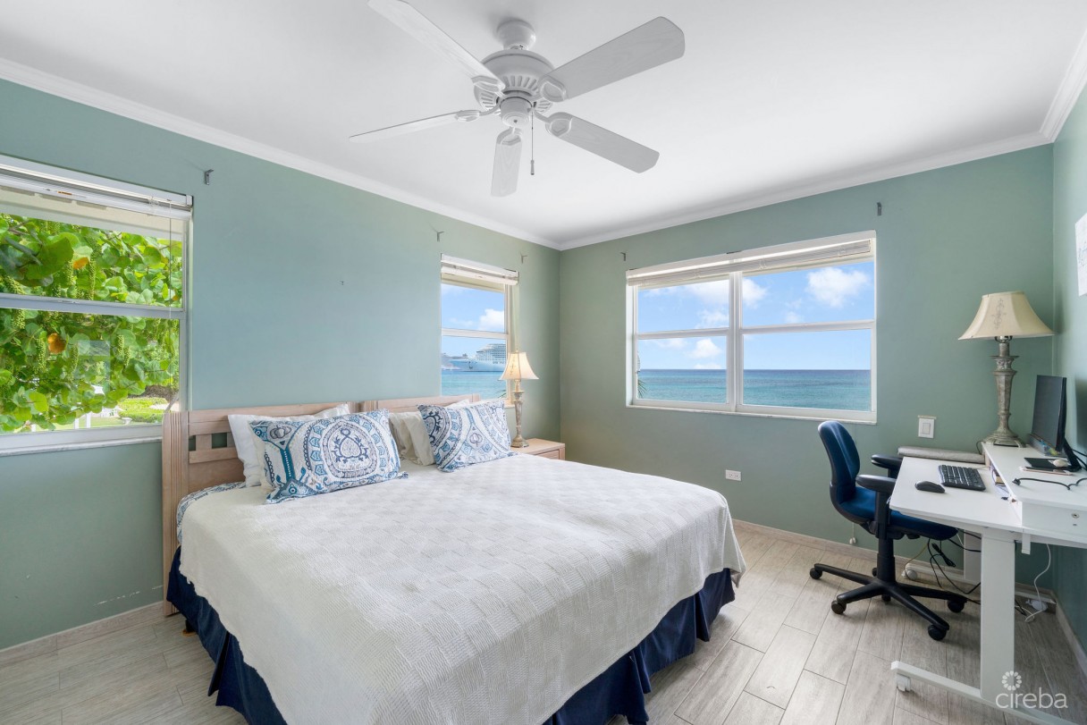 Grapetree  #3 - Image 12