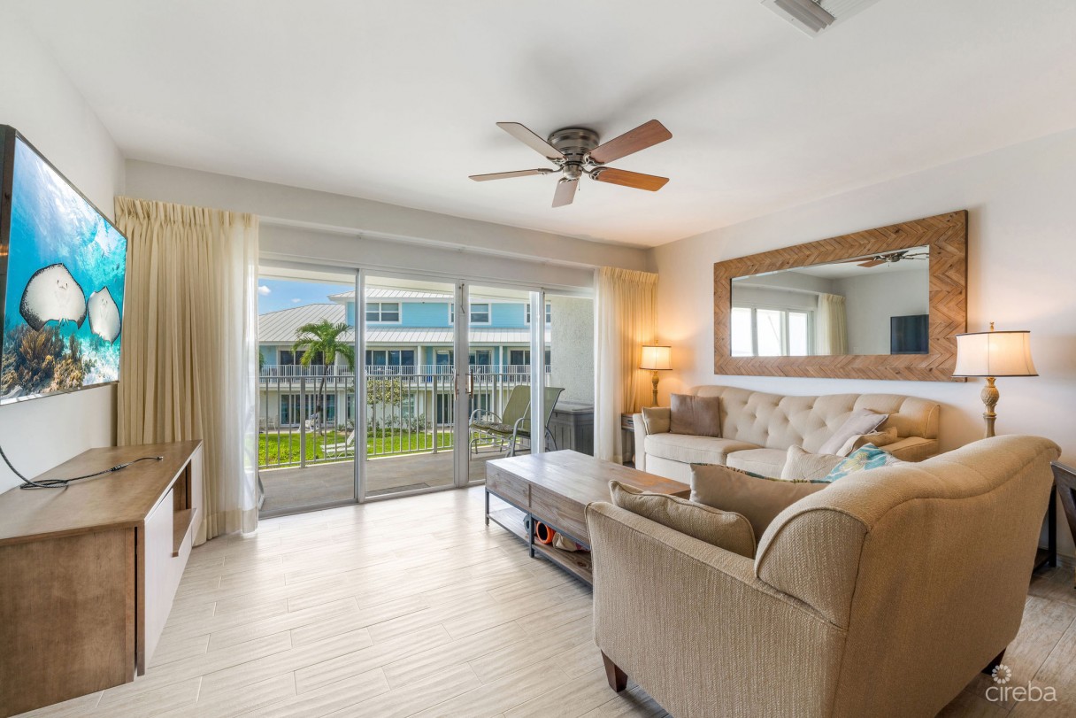 Grapetree  #3 - Image 7