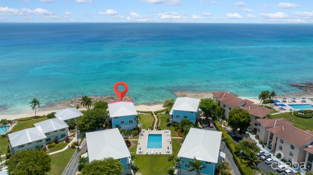 Grapetree  #3 - Image 18