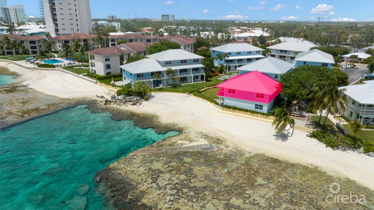 Grapetree  #3 - Image 20