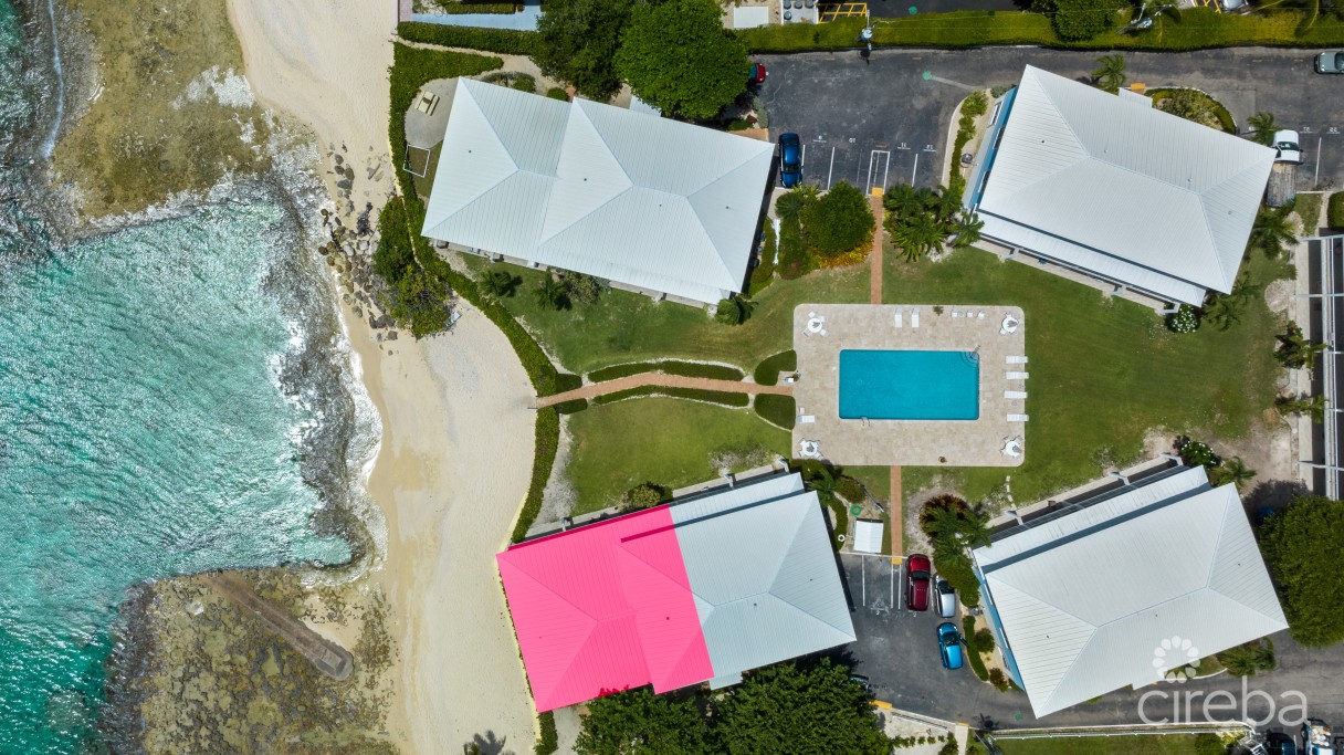 Grapetree  #3 - Image 17