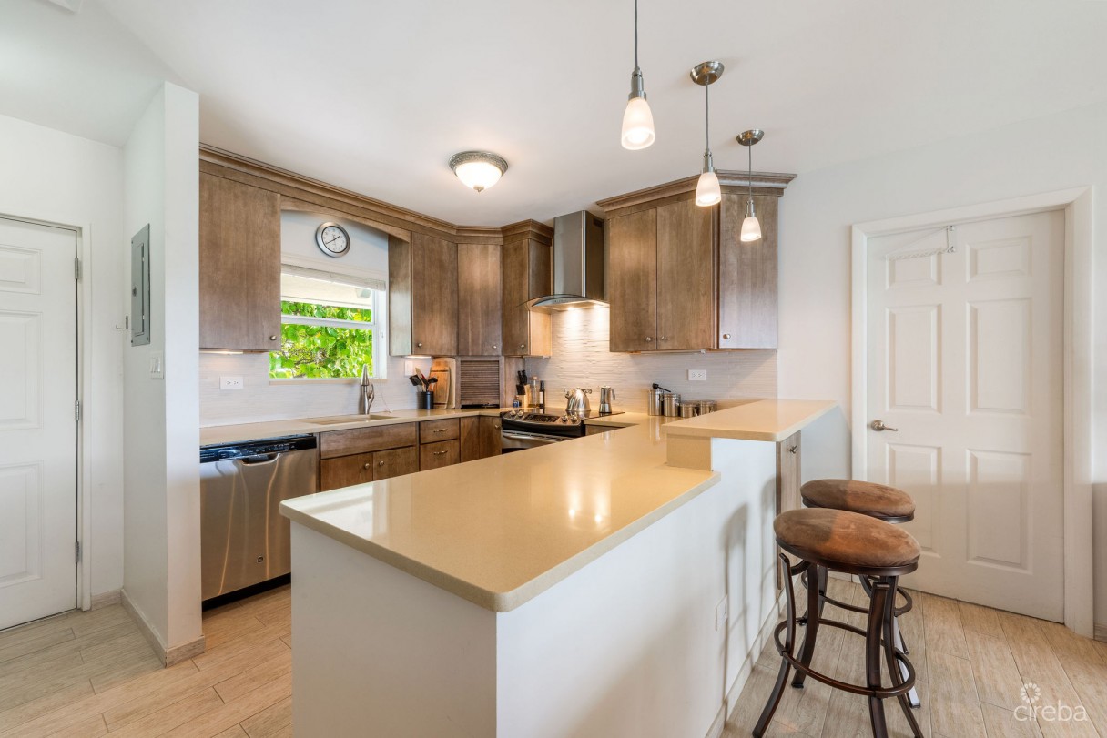 Grapetree  #3 - Image 4