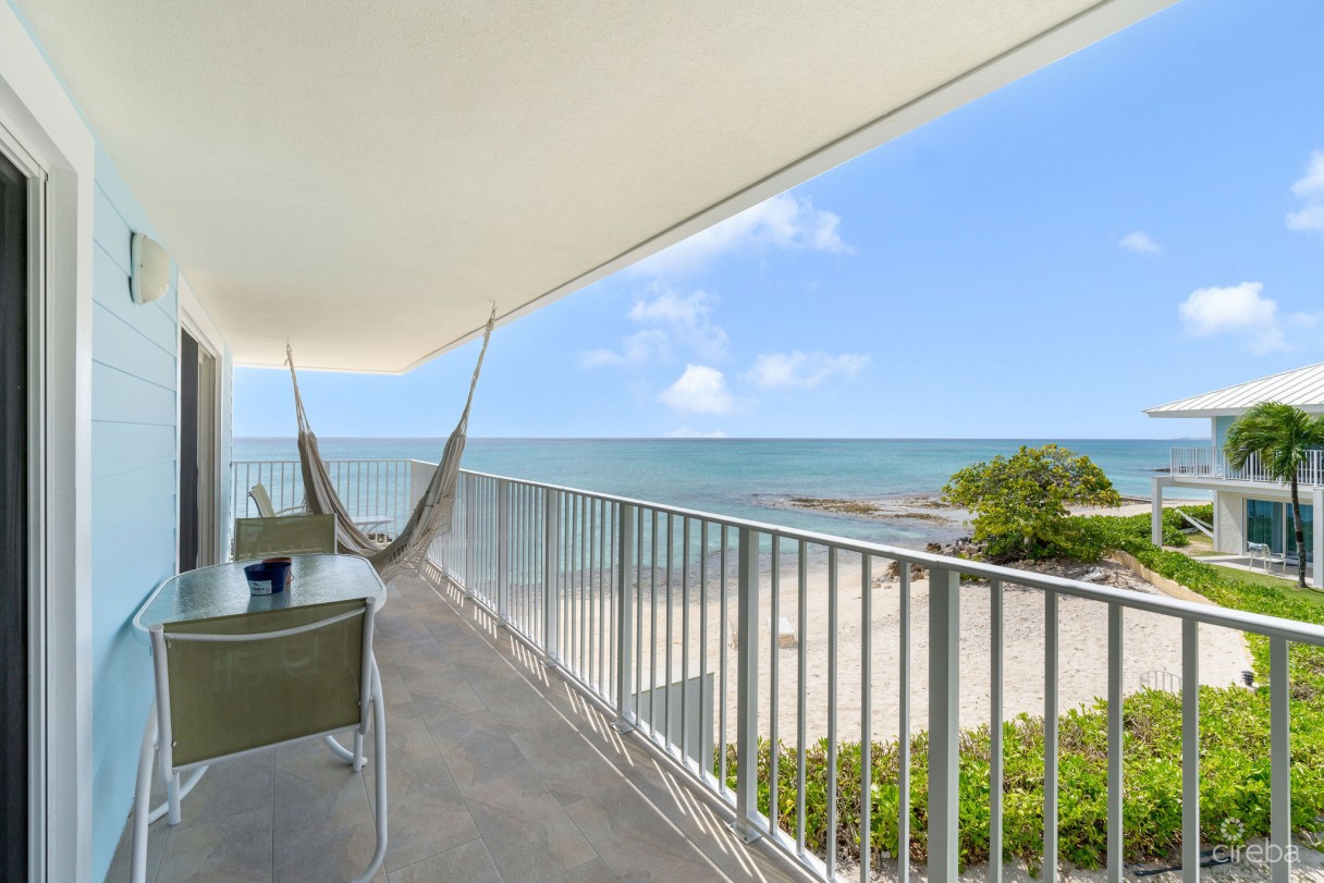 Grapetree  #3 - Image 2