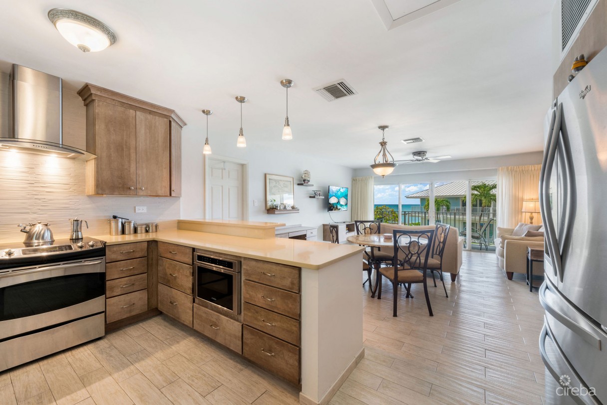 Grapetree  #3 - Image 5