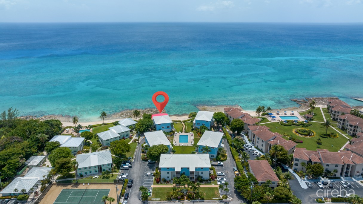 Grapetree  #3 - Image 19