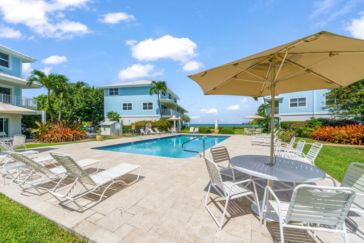 Grapetree  #3 - Image 14