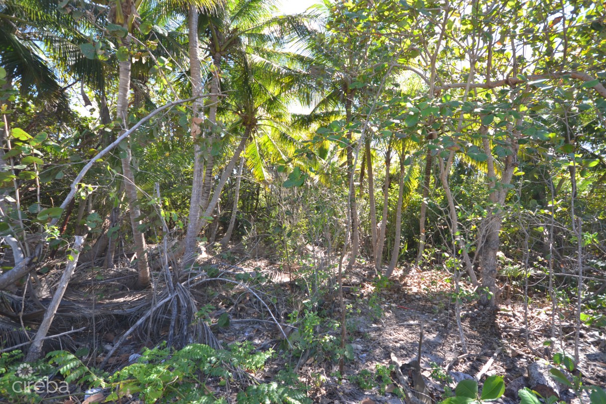 North Side Oceanview  Land - Image 6
